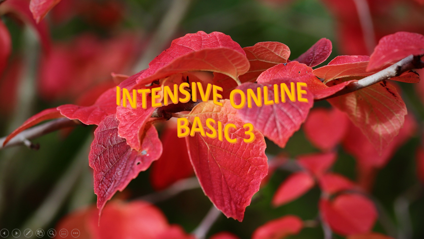 INGLÉS INTENSIVO ONLINE BÁSICO 3