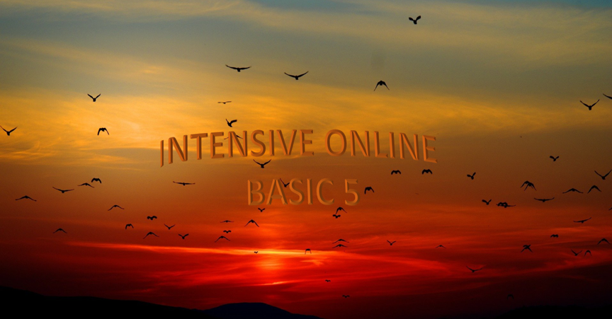 INGLÉS INTENSIVO ONLINE BÁSICO 5