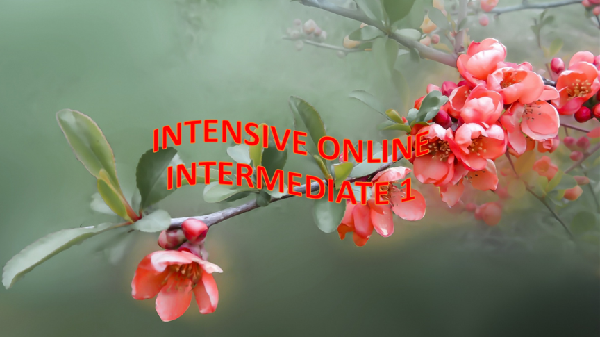 INGLÉS INTENSIVO ONLINE INTERMEDIO 1