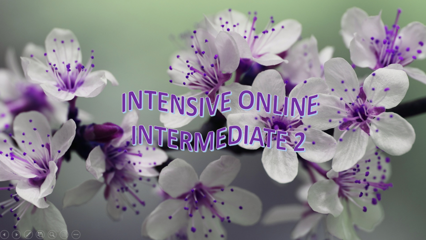 INGLÉS INTENSIVO ONLINE INTERMEDIO 2