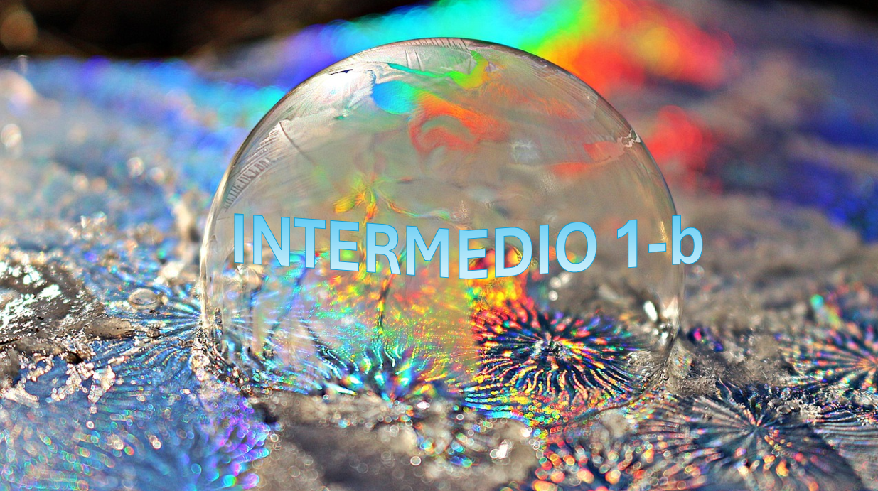 Inglés Intermedio 1 Grupo B